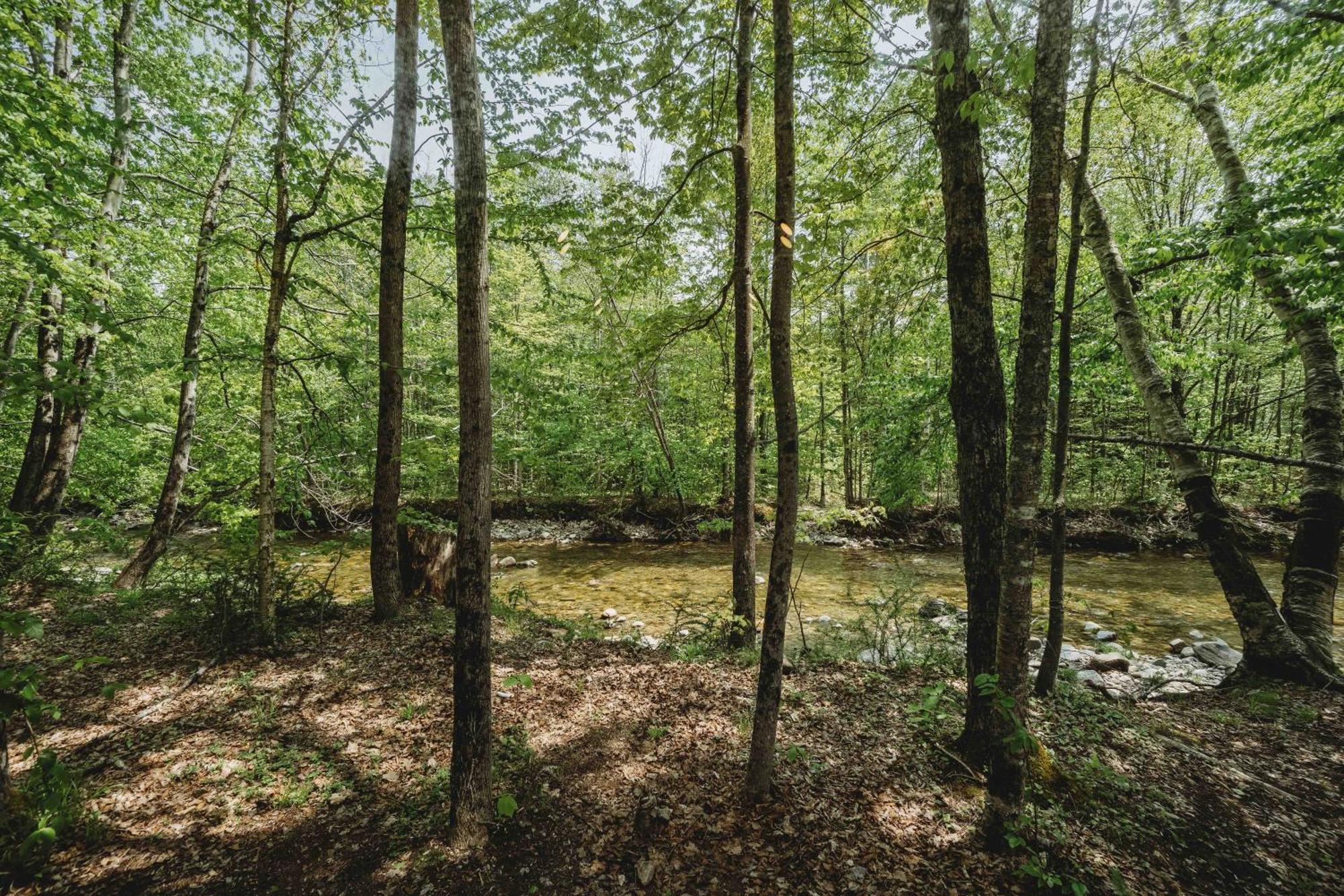 Lumen Nature Retreat Γούντστοκ Δωμάτιο φωτογραφία
